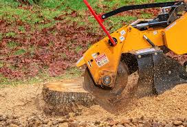 Best Leaf Removal  in Southlake, TX