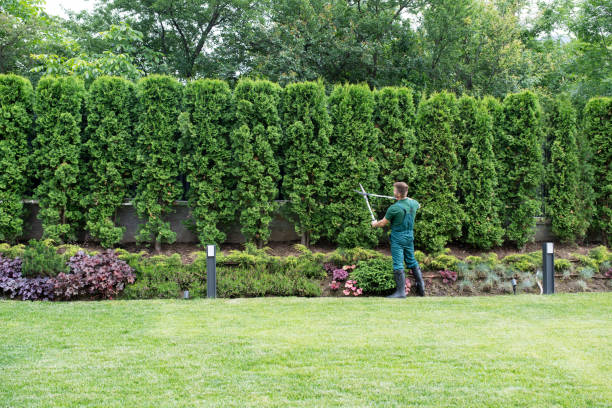  Southlake, TX Tree Services Pros