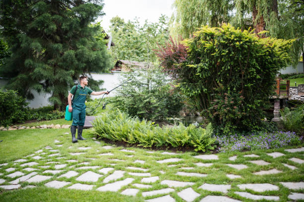 Lawn Watering Services in Southlake, TX