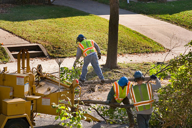 Best Landscape Design and Installation  in Southlake, TX