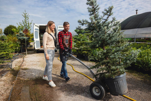 Best Firewood Processing and Delivery  in Southlake, TX